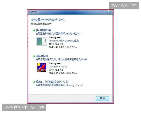 “速度与耐力的对决,SHO-CHAN Run 2025将在香港点燃激情” “速度与耐力的对决,SHO-CHAN Run 2025将在香港点燃激情”