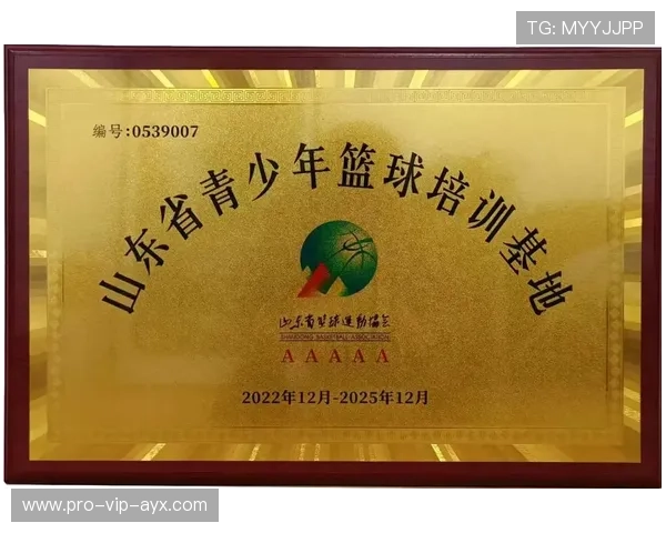 2026年篮球联赛青训营导师轮岗成效评估数据公开，篮球训练营教练团队